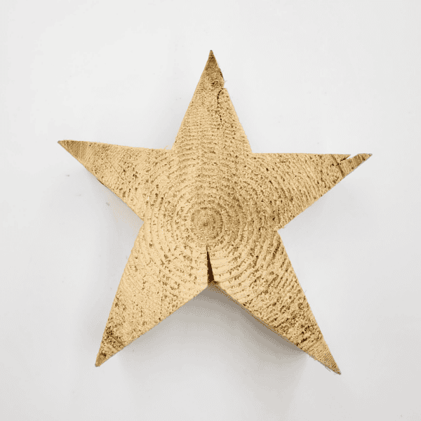 Ein Produkt namens Stern zeigt einen strukturierten goldenen Stern vor einem schlichten weißen Hintergrund.
