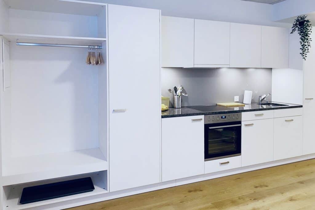 Minimalistische weiße Küche mit Backofen, Herd und Lagerschränken. Hängepflanze über dem Spülbereich.